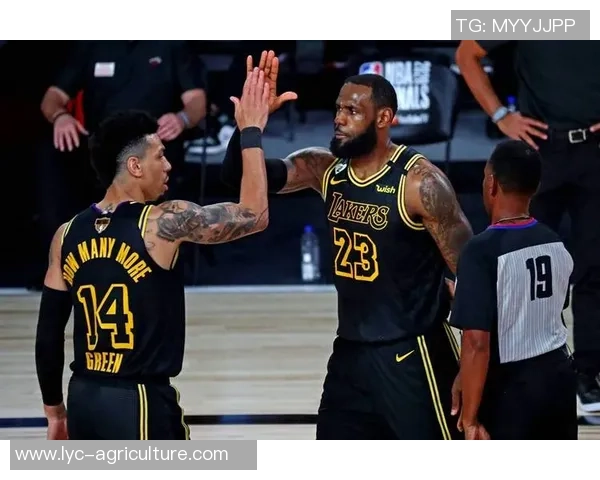 湖人对决热火NBA总决赛最新动态分析与精彩看点汇总 湖人对决热火NBA总决赛最新动态分析与精彩看点汇总