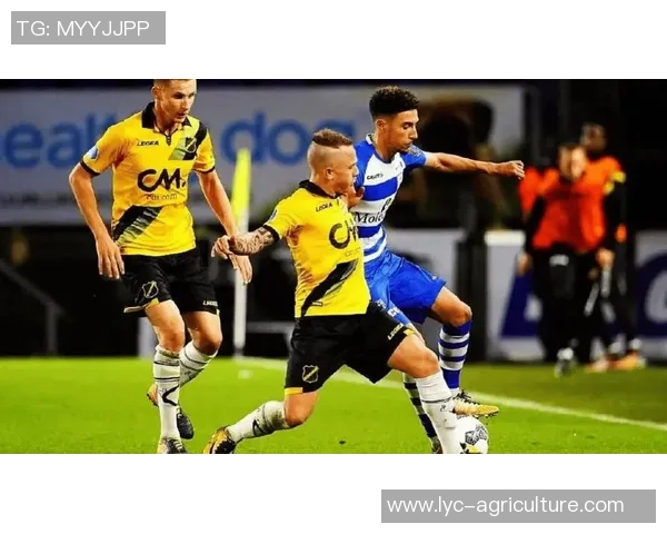 荷乙联赛奈梅享对阵瓦尔韦克的精彩赛事前瞻与胜负预测分析