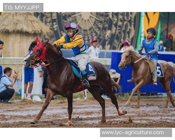 三都:“一匹马”赛出开展新天地 三都:“一匹马”赛出开展新天地