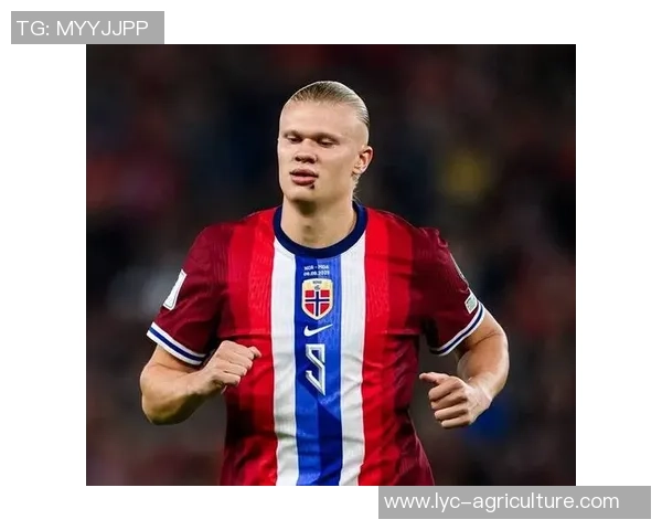 力压意大利!哈兰德:本认为这辈子都踢不了世界杯,我一向有压力 力压意大利!哈兰德:本认为这辈子都踢不了世界杯,我一向有压力