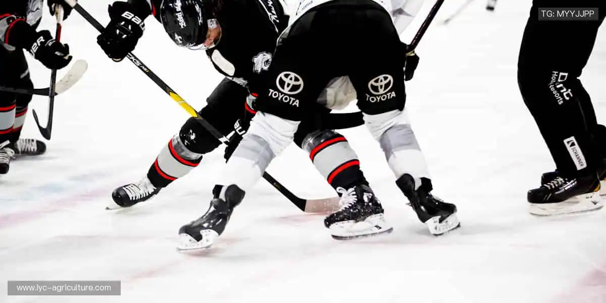 📺 实时解说，带你沉浸式感受赛场心跳！