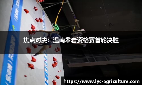 bsports登录入口