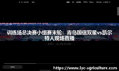 训练场总决赛小组赛末轮：青岛国信双星vs凯尔特人现场直播