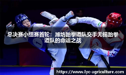 总决赛小组赛首轮：潍坊跆拳道队交手无锡跆拳道队的命运之战