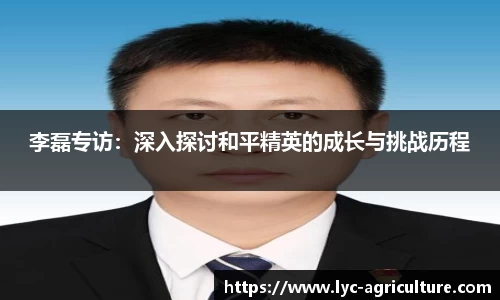 bsports平台