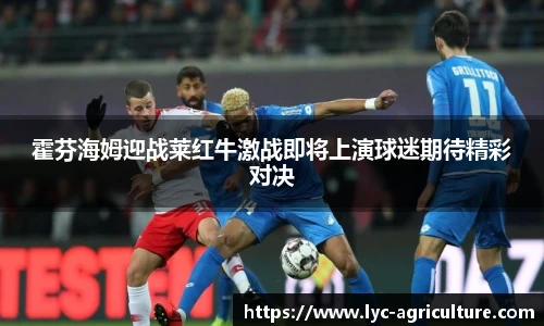 bsports登录入口