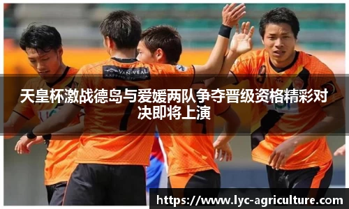 bsports平台