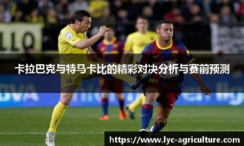 bsports官方网站