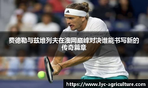 bsports登录入口